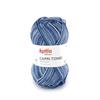 Capri Tones 303 50g