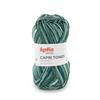 Capri Tones 304 50g