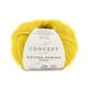 Cotton-Merino Fine 091 25 g