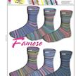 Marathon Color Famoso 3359 100g | Bild 3