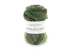Merino Seta Tones 101 100g