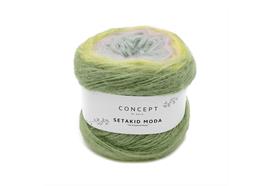 Setakid Moda 300 100g