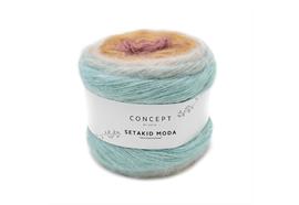 Setakid Moda 301 100g